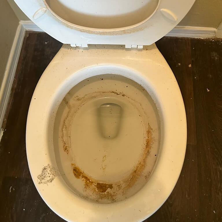 toilet-before